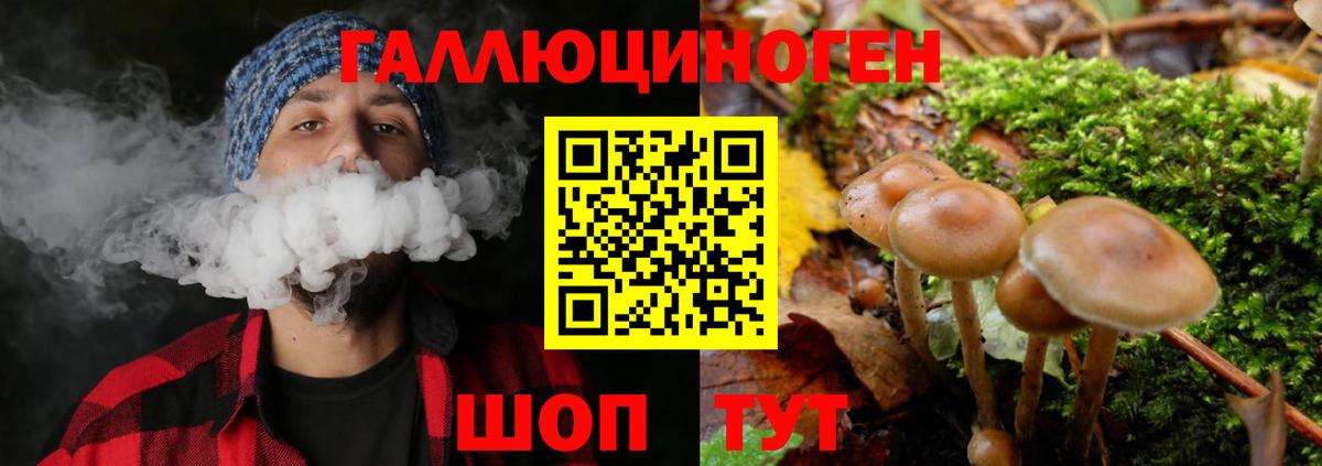 Псилоцибиновые грибы прущие грибы Ишим